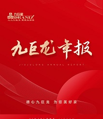九巨龙年报